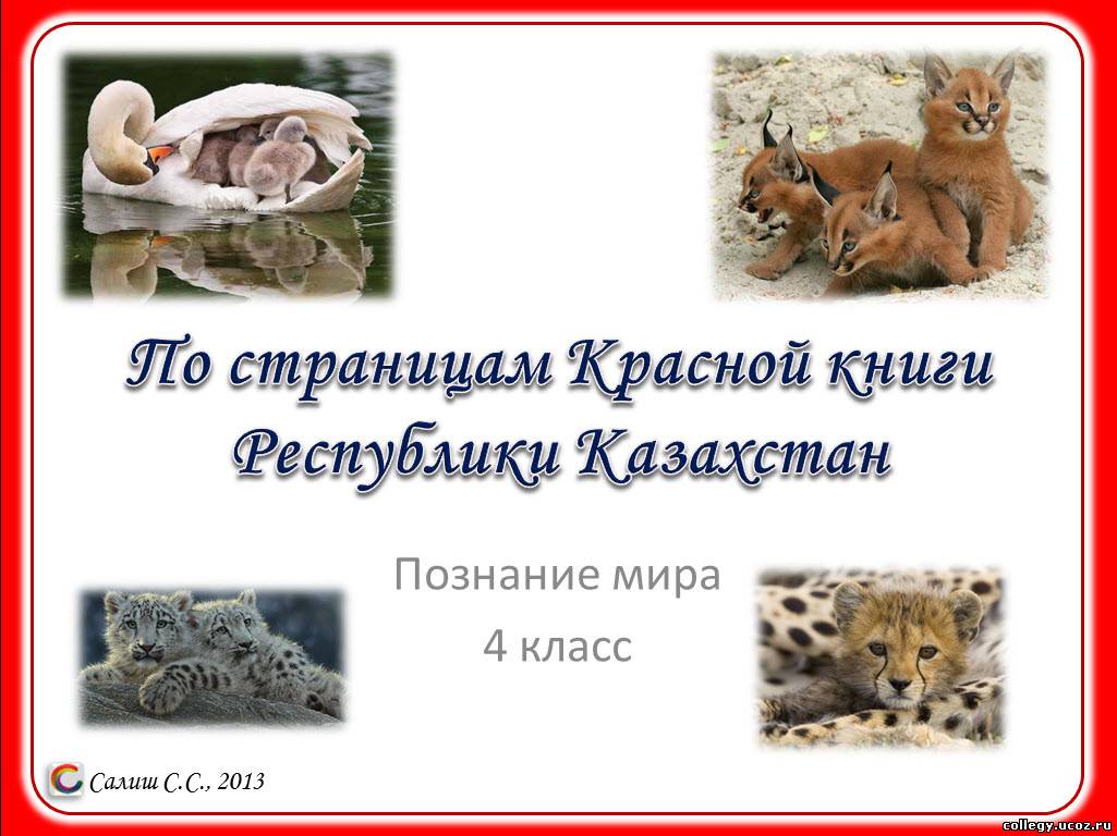 Красная книга казахстана животные и растения презентация